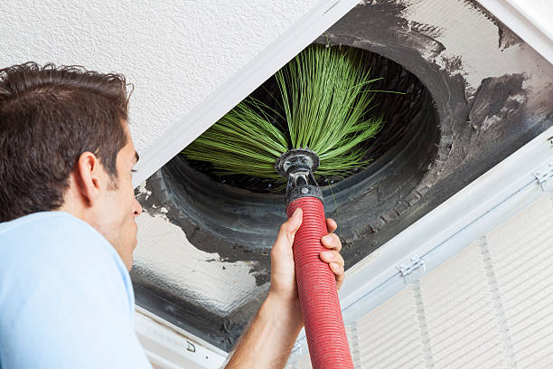 Air Duct Mold Removal in SC